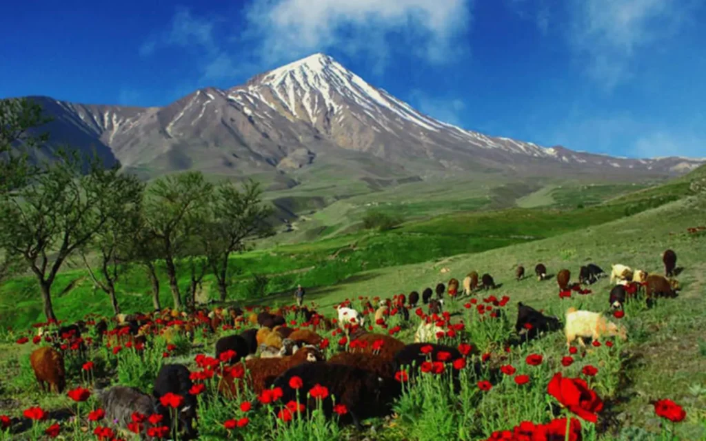 سازمان امور اراضی کشور