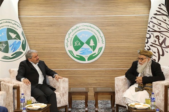 معاونت محیط زیست دریایی و تالاب‌ها