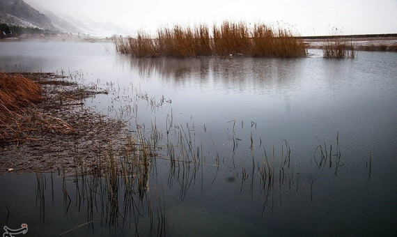 معاونت محیط زیست دریایی و تالاب‌ها